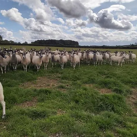 Willow Northallerton, 1 Bedroom, Cosy Stopover Thornton-le-Beans